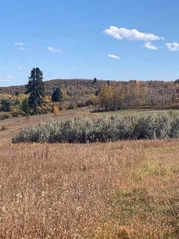 NONE real estate 16 Red Willow Court W in NONE Rural Foothills County
