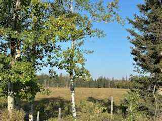  T0M 1X0 Rural Mountain View County