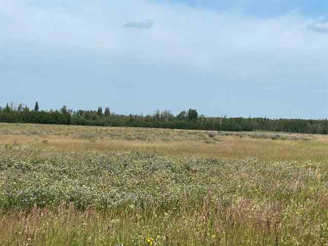 NONE real estate  NE 26 78 7 W6   in NONE Rural Saddle Hills County