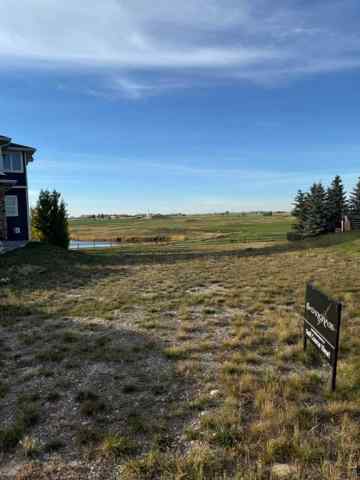 NONE real estate 141 Speargrass Close  in NONE Carseland