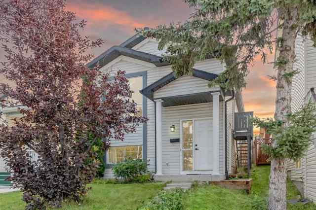Martindale real estate 125 Martinpark Way NE in Martindale Calgary