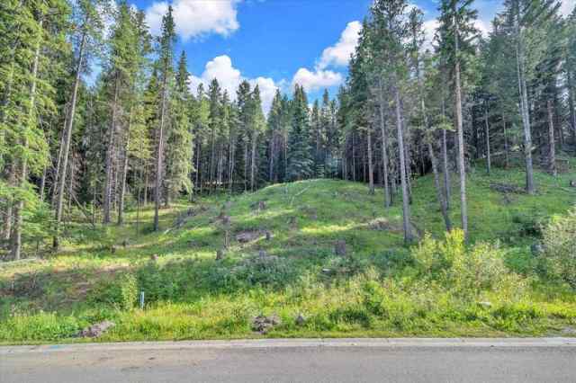 NONE real estate 262 Southmore Place  in NONE Blairmore