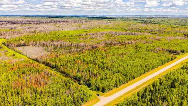 NONE real estate SE-25-79-9-W6 Township 794   in NONE Rural Saddle Hills County