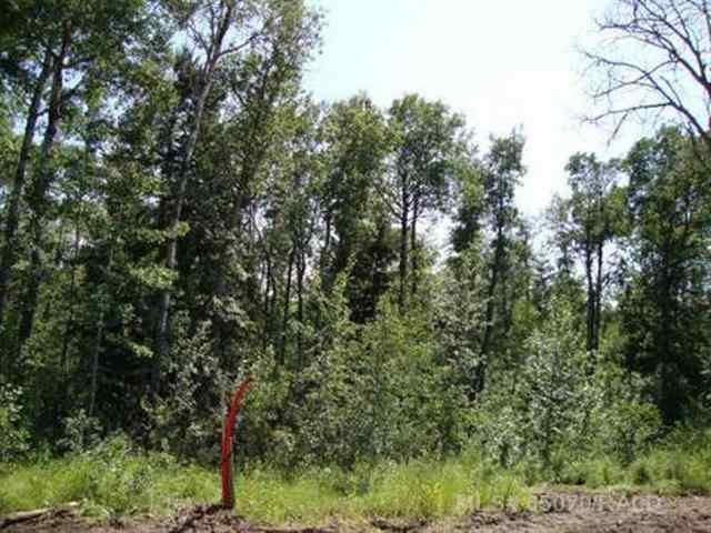 NONE real estate Lot 3 Blk 5 LAKESIDE Drive  in NONE Perch Lake