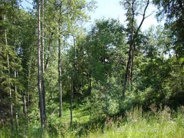 NONE real estate Lot 4 Blk 5 LAKESIDE Drive  in NONE Perch Lake
