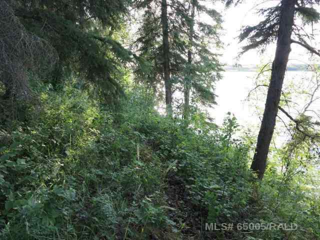 NONE real estate Lot 12 Blk 1 LAKESIDE Drive  in NONE Perch Lake