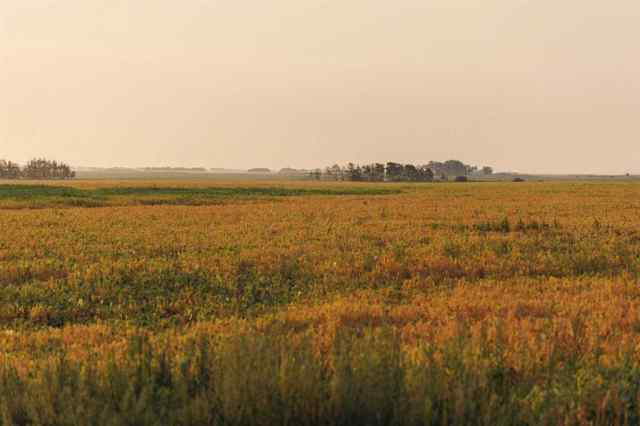 NONE real estate Parcel 9 Range Road 271 just south of Highway in NONE Rural Rocky View County