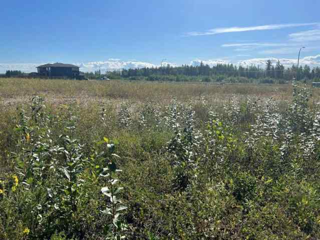 Henning Ridge real estate 109 Dwyer Close  in Henning Ridge Fort McMurray