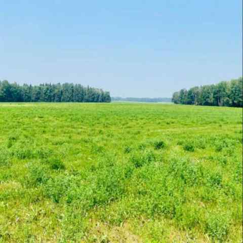 NONE real estate On Range Road 6-0   in NONE Rural Clearwater County