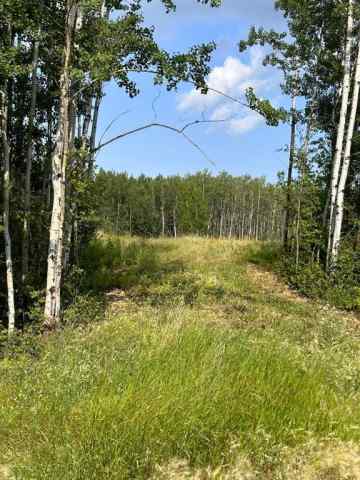 Lac La Biche real estate 123, 67417 McGrane Road   in Lac La Biche Lac La Biche