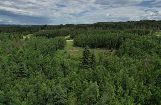  T7S 1N3 Rural Woodlands County