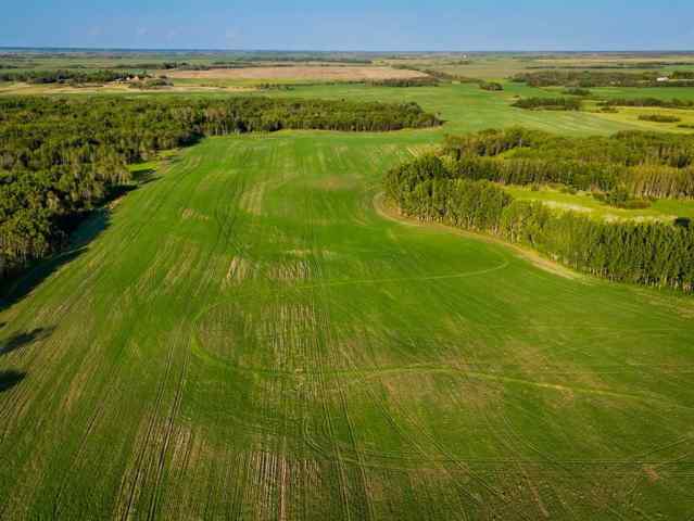  T0B 1H0 Rural Camrose County