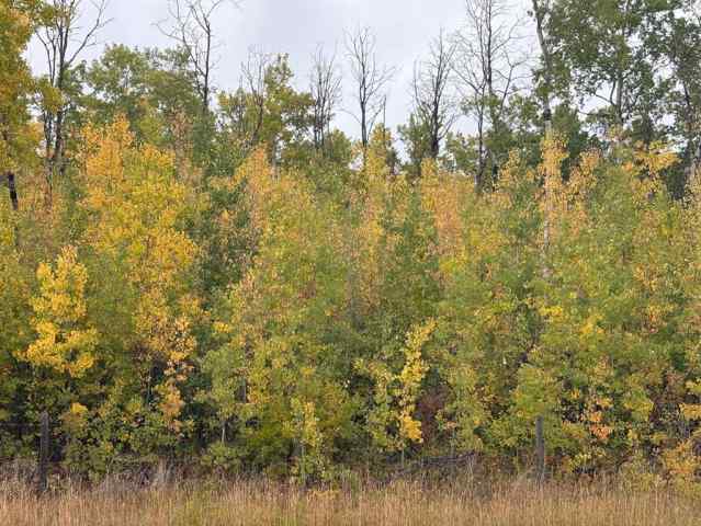 Just listed NONE homes for sale new  12 Foot Davis Road   in NONE Rural Northern Sunrise County