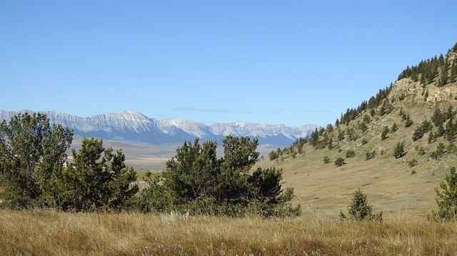  T9K 1W0 Rural Pincher Creek No. 9, M.D. of