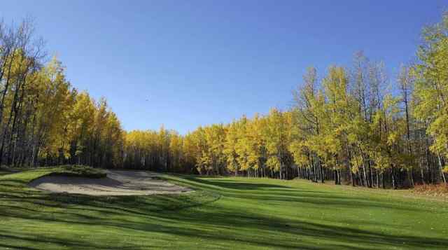 Just listed  homes for sale new     in  Rural Wetaskiwin No. 10, County of