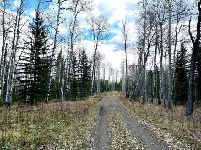  T0M1X0 Rural Mountain View County