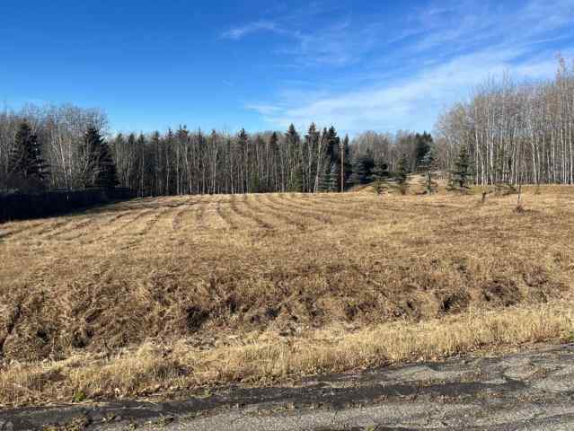  T0M 0X0 Rural Clearwater County