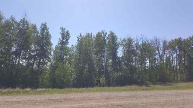Just listed NONE homes for sale new  Weberville Road   in NONE Rural Northern Lights, County of