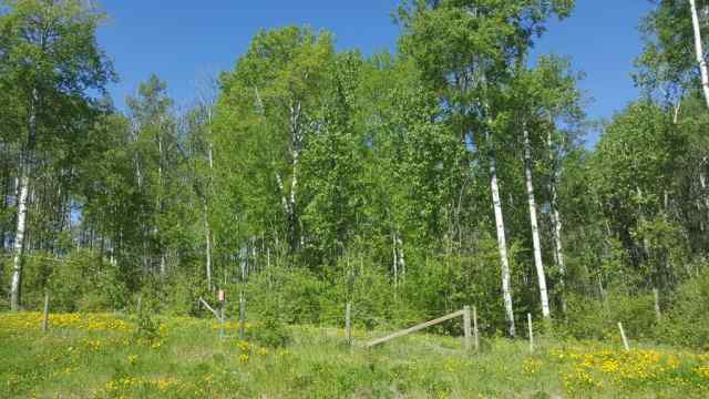 Just listed NONE homes for sale new  Weberville Road  in NONE Rural Northern Lights, County of
