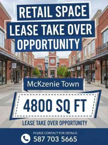 Just listed McKenzie Towne homes for sale new 456 anystreet   in McKenzie Towne Calgary