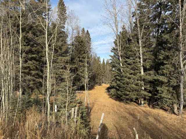 Just listed NONE homes for sale new 39-3 Township Road   in NONE Rural Clearwater County