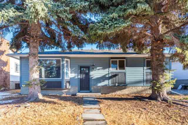 Just listed Rundle homes for sale new 1736 41 Street NE in Rundle Calgary