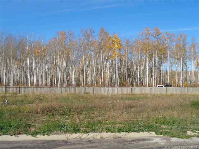  real estate 17 Bear Creek Drive  in  High Level