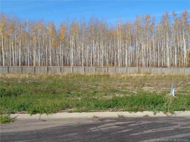  real estate 21 Bear Creek Drive  in  High Level